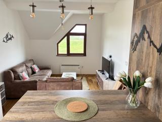Apartman Tajmles Wellnes & Spa - 7