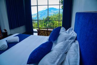 Blue Peak Ella - 4