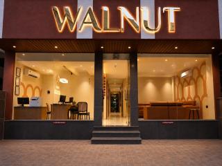 Hotel Walnut - Near Jaipur Airport - 9