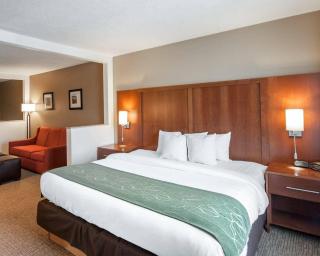 Comfort Suites Airport - 0