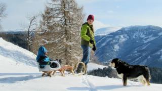 Bauernhof Pension Juri - 7