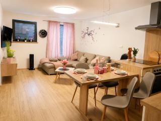 Apartmaji Jezerka Bled - 4