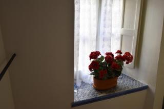 Casa Vacanza Alma - Cefalù - 3