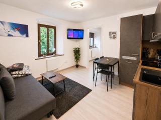 Old Town Apartment in Tirol - 9
