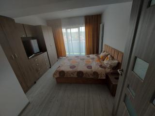 Apartament Andreea pe Dem Radulescu! - 1