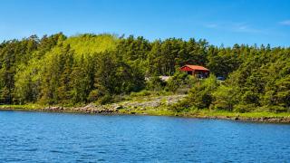 Modern Scandinavian cabin by the sea, calm, private setting, 50m to ocean - 7