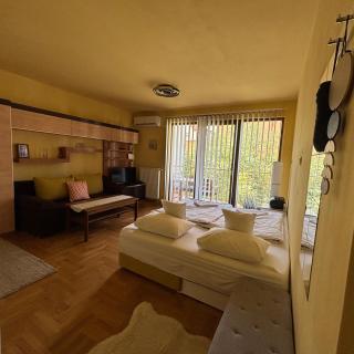 Mandarin Wellness Apartman - Siófok - 7
