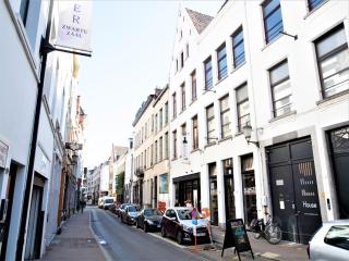 Old town lodge Antwerp Apartment - 9