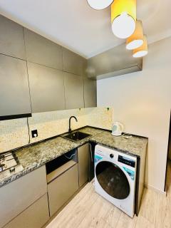 Modern One-Bedroom Apartment - 1