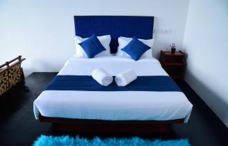 Blue Peak Ella - 5