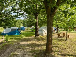 Przystań Zagać - Pole namiotowe i kempingowe - 8