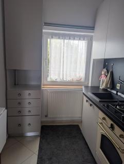 Pet friendly loft near Cetatuia park - 8