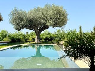 Kenz Essia Luxury countryside escape near Tunis - 8