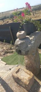 Casa De Campo Das Oliveiras - 6