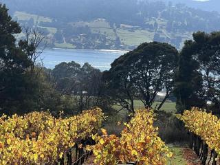 The Tamar Ridge Lookout at Tamar Ridge Apartments - 7