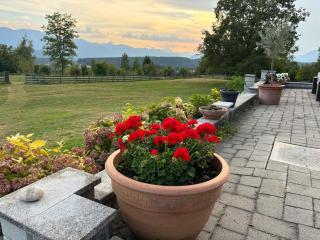 Sternberg Landhof - 6