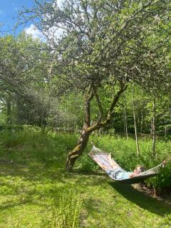 Villa Apple Garden - Tingsryd - 8