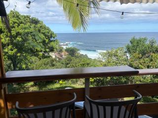 Coco Sauvage tropical lodge incroyable vue mer - 2