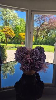Dorupes House - 8