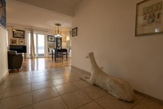 Beach state of art, Balica Rat - 4