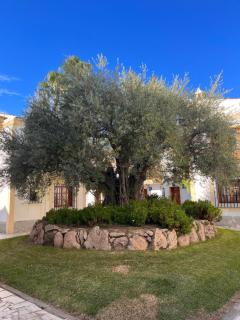 Apartamento del Sur en Vera Playa - 6
