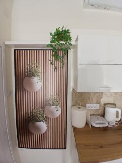 Studio D lux Vida - 1