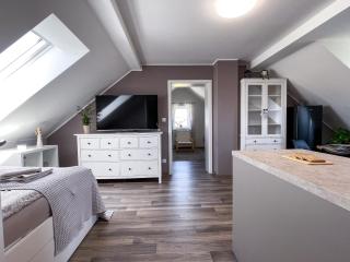 Apartmán Branná - 8