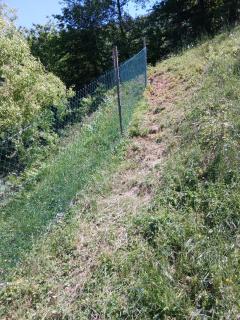 Piantina Holiday Home - 7