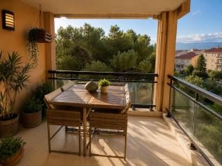 Joli cozy appartement, aperçu mer, piscine, gardien - Cannes - 7