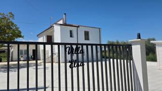 Villa Elsa - 7