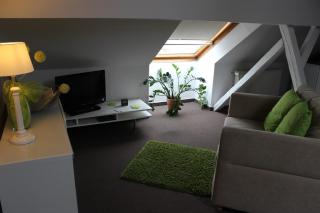 APARTHOTEL 1A - Zwickau - 6