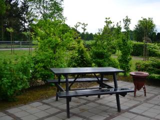 Holiday Home in Eerbeek near Veluwe - 3