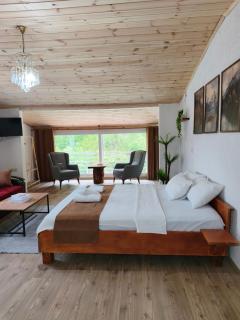 Ayder River Suite by Karadeniz - 9