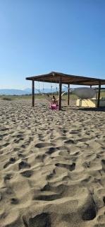 Sabina Olive bungalow - 8