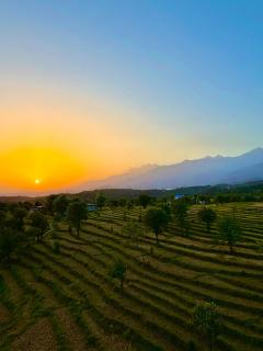 Aahista Stays- Mountain view homestay - 9