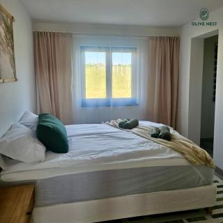Olive Nest - 9