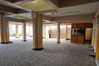 Treands Asali - 8