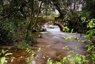 UMA Rural Boutique - La Garrotxa - 1