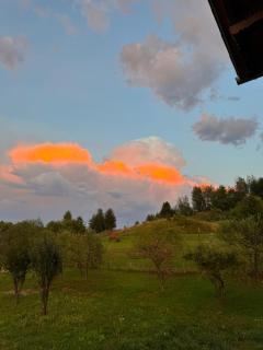 Pensiunea la Tăuț - 9