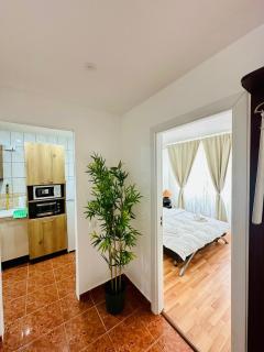 79 The Jewel of Calea Victoriei - 1BR Cozy Flat - 1