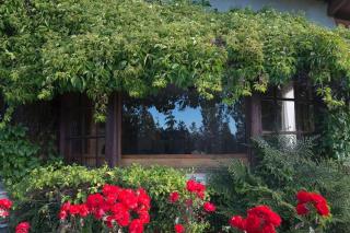 Gran Casa Alpina - 5