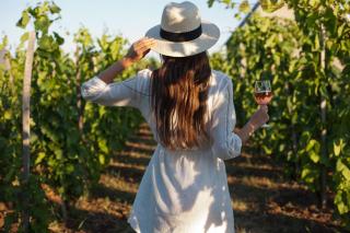 Private Suite, Panoramic Views, Hot Tub, Wineries - 4