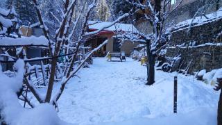 jibhi Orchard house - 2