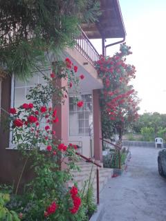 Garden House - 80 m2- Rustic Apartment - 5