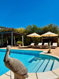 Villa Thomaso - Private Pool & Garden - Panoramic View - 7