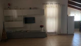 Gabbiano Jonathan - 5