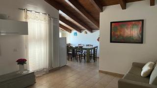 Gabbiano Jonathan - 1