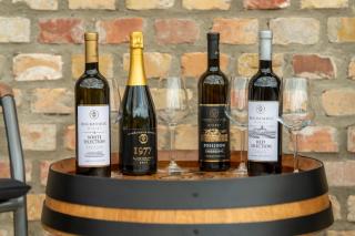 Bogdanović Winery Apartman - 1