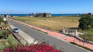 Gabbiano Jonathan - 9