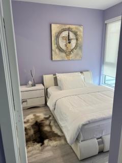 Downtown Luxury Condo Gym & Parking - 5